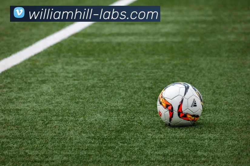 威廉希尔APP 封面图